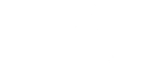 O Divergente