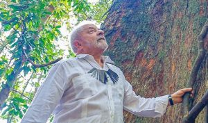 Em viagem a Manaus, presidente Lula visita floresta Amazônica (Foto: Ricardo Stuckert)